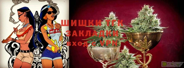 дмт Арсеньев